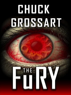 cover image of The Fury